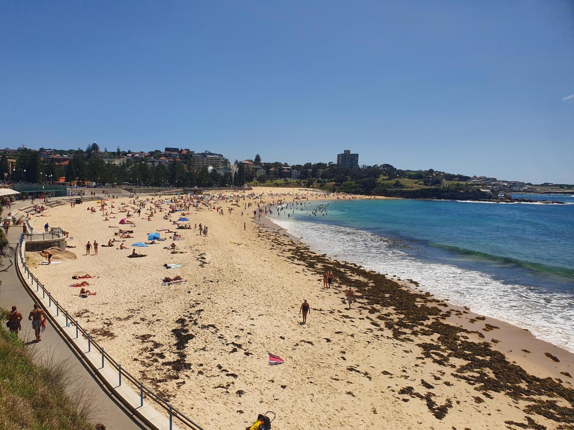 Podbed Coogee Beachside Сідней Екстер'єр фото